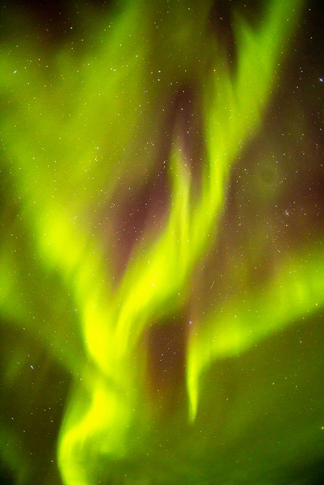 USA-Alaska-Fairbanks Aurora borealis fills night sky